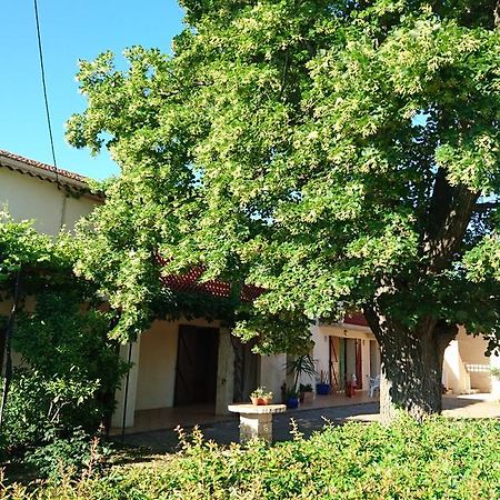 Les Prairies Mas Roux Guest House Raphele Exterior photo