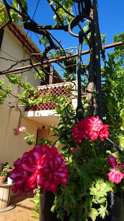 Les Prairies Mas Roux Guest House Raphele Exterior photo